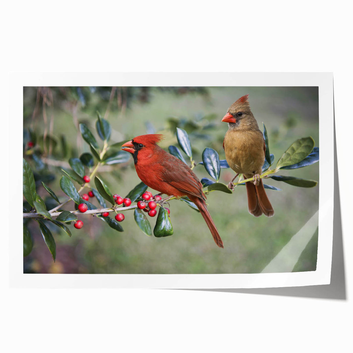 Vibrant wall art print showcasing a majestic cardinal perched on a branch with lush green foliage, ideal for enhancing home decor and adding a pop of color.