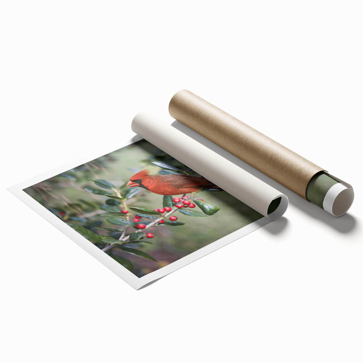 Vibrant rolled print showcasing a cardinal bird design in a natural setting, perfect for home decor and art enthusiasts, packaged securely in a protective tube.