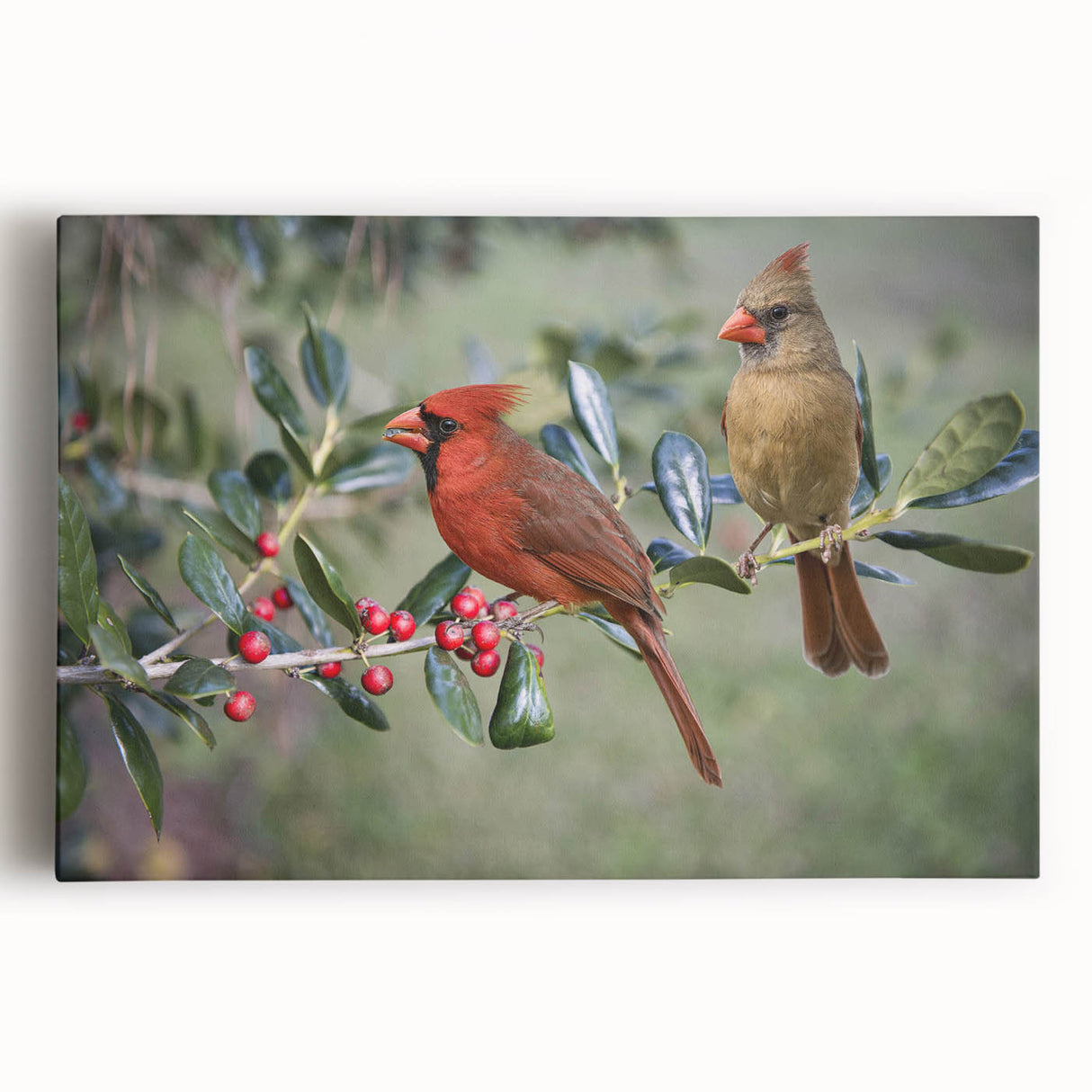 Vibrant cardinal wall art design on stretched canvas, showcasing rich red and green colors, perfect for nature enthusiasts and home decor accents.