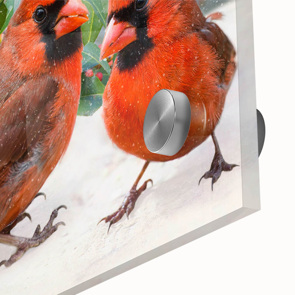 Close-up of a vibrant cardinal wall art design on acrylic glass, showcasing intricate details with rich reds and natural textures, perfect for home decor.