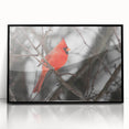 Framed wall art featuring a vibrant cardinal bird design in a black frame, showcasing detailed colors and textures, perfect for home decor enthusiasts.
