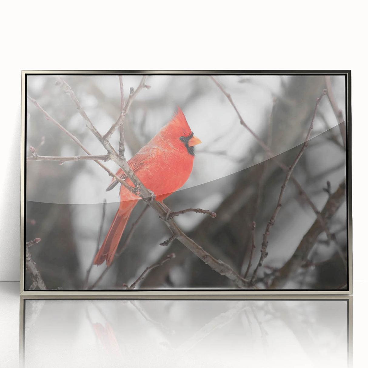 Framed wall art featuring a vibrant cardinal bird design in a silver-acrylic frame, showcasing intricate details and rich colors, perfect for home decor.