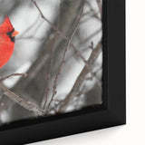 Close-up of a framed canvas wall art featuring vibrant red cardinals perched on leafy branches, showcasing intricate details and rich colors, perfect for nature-themed decor.