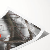 Vibrant rolled print of a cardinal bird design featuring rich red and earthy tones, perfect for adding a pop of color to any wall art collection.