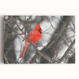 Vibrant canvas wall art showcasing a close-up of a cardinal perched on a branch, featuring rich red hues and detailed textures, perfect for nature enthusiasts.