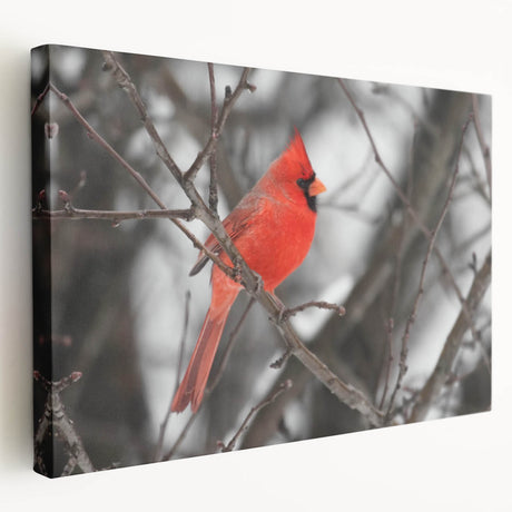 Stretched canvas wall art featuring a vibrant cardinal bird design in red and green hues, showcasing intricate details against a soft, neutral background. Perfect for nature lovers and home decor enthusiasts.