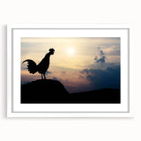 Framed wall art featuring a whimsical chicken design in vibrant colors, set against a white background with a matte finish, ideal for enhancing home decor.