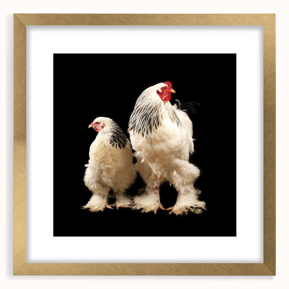Framed wall art featuring a colorful chicken design with intricate detailing in a gold frame, ideal for adding a whimsical touch to home decor.