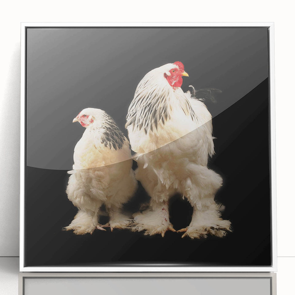 Framed wall art featuring a whimsical chicken design in vibrant colors, showcased in a sleek white frame, perfect for adding charm to any home decor.