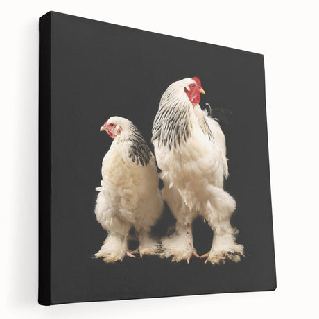 Stretched canvas wall art featuring a vibrant chicken design in a playful style, perfect for adding a whimsical touch to home decor. Ideal for animal lovers.