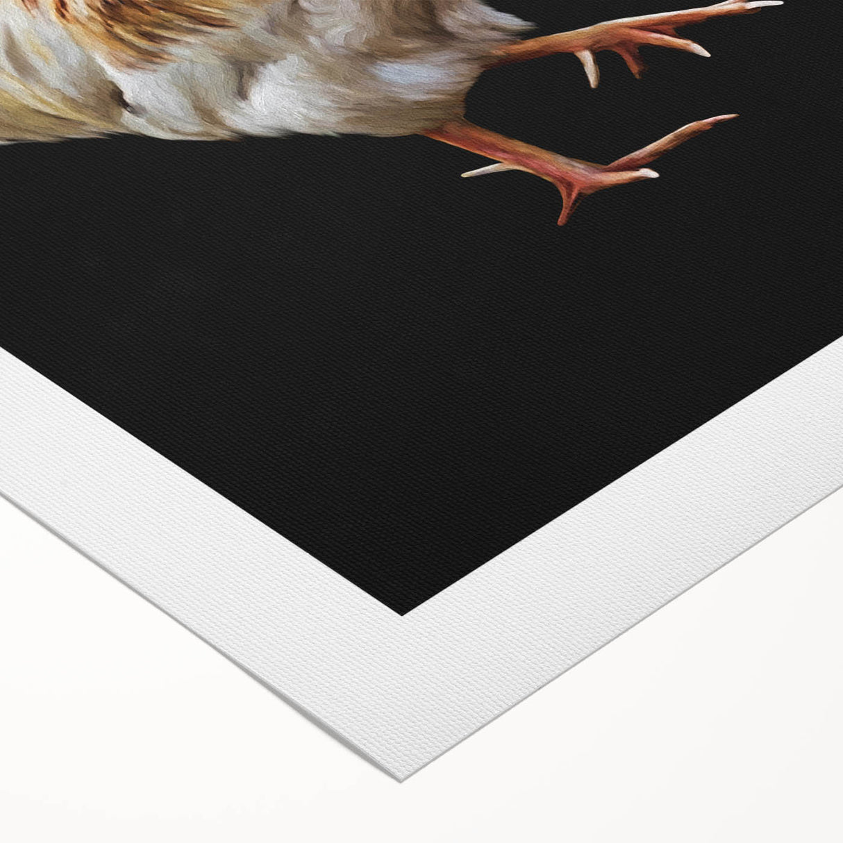 Vibrant rolled canvas wall art showcasing a whimsical chicken design in bright colors, perfect for adding a playful touch to home decor. Ideal for animal lovers and art enthusiasts.