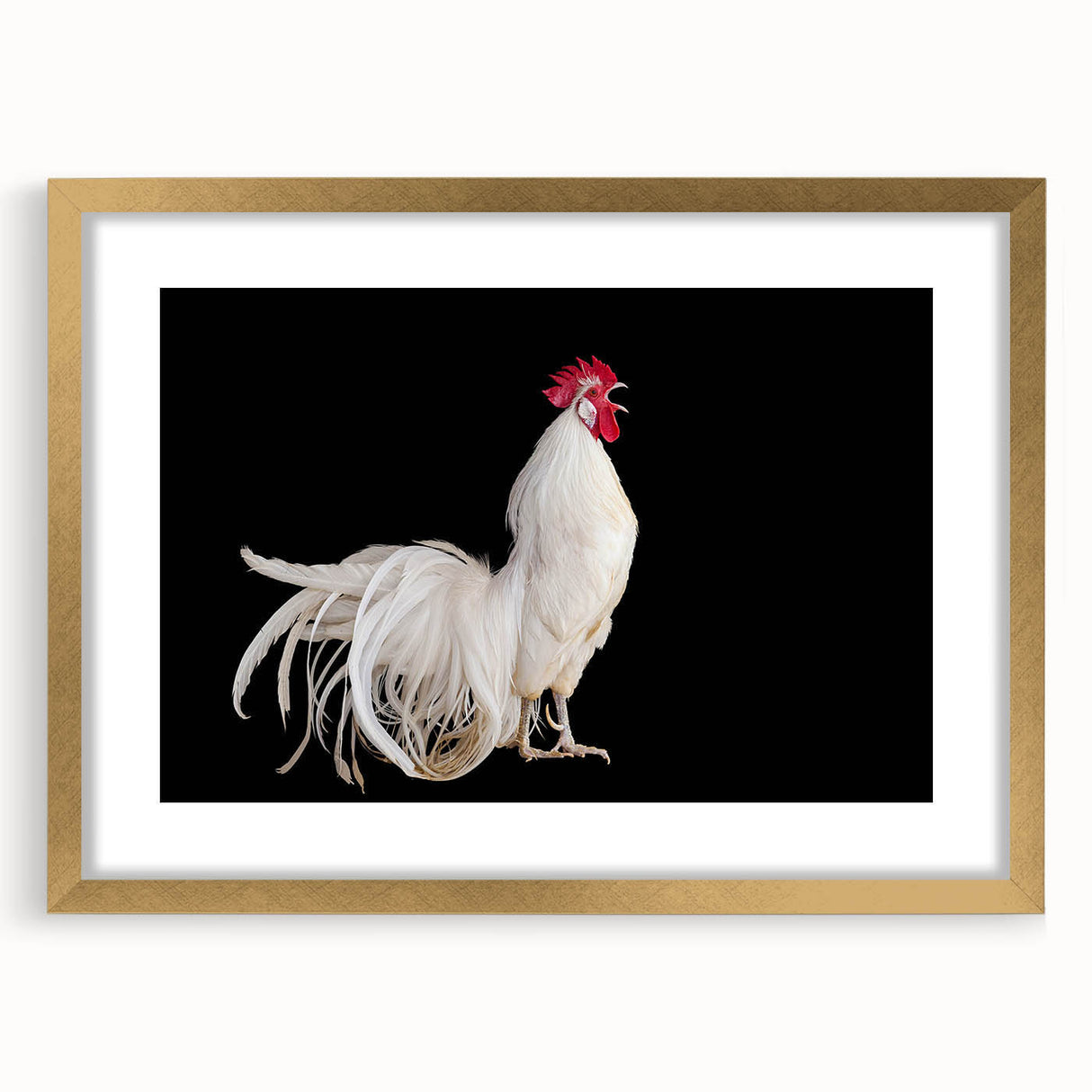 Framed wall art featuring a whimsical chicken design in a gold frame with a white mat, showcasing vibrant colors and intricate details, perfect for home decor.
