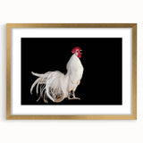 Framed wall art featuring a whimsical chicken design in a gold frame with a white mat, showcasing vibrant colors and intricate details, perfect for home decor.