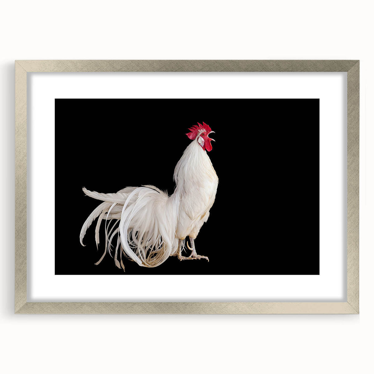 Framed wall art featuring a stylish chicken design in a silver frame with a mat, perfect for adding a modern touch to home decor. Ideal for animal lovers and art enthusiasts.