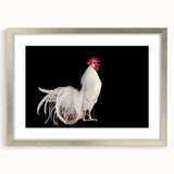 Framed wall art featuring a stylish chicken design in a silver frame with a mat, perfect for adding a modern touch to home decor. Ideal for animal lovers and art enthusiasts.