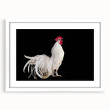 Framed wall art featuring a whimsical chicken design with vibrant colors, presented in a sleek white frame and mat, perfect for adding charm to any space.