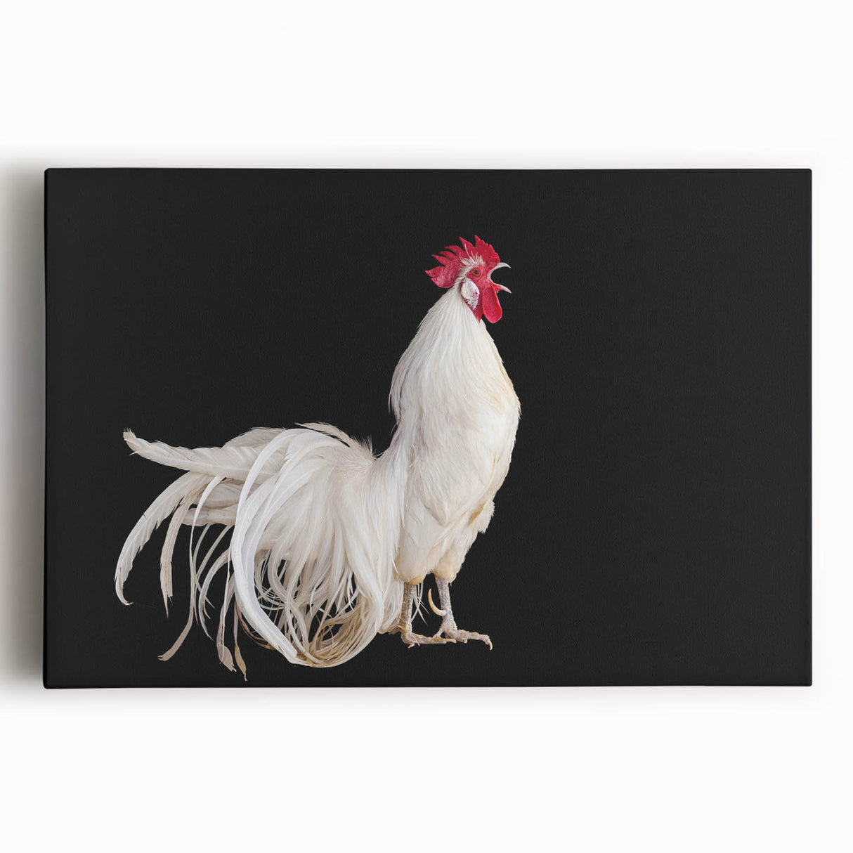 Vibrant stretched canvas wall art featuring a whimsical chicken design, perfect for adding a touch of playful charm to home decor. Ideal for animal lovers and art enthusiasts.