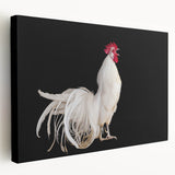 Stretched canvas wall art showcasing a vibrant chicken design, featuring bold colors and intricate details, perfect for adding character to any space.