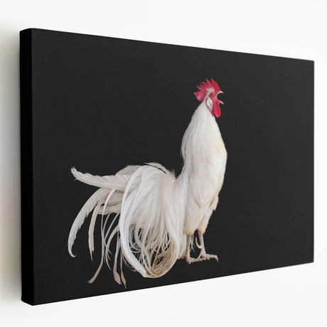 Stretched canvas wall art showcasing a vibrant chicken design, featuring bold colors and intricate details, perfect for adding character to any space.