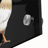 Close-up of a vibrant acrylic wall art piece showcasing a detailed chicken design with colorful feathers and intricate patterns, perfect for adding a whimsical touch to home decor.