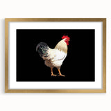 Charming wall art featuring a whimsical chicken design framed in elegant gold, perfect for adding a playful touch to home decor. This artwork is ideal for animal lovers and enhances any room's aesthetic.