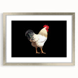 Framed wall art featuring colorful bird and chicken designs, with a decorative mat and silver frame, perfect for enhancing home decor and adding a whimsical touch.