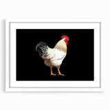 Framed wall art featuring a whimsical chicken design with vibrant colors, set against a white mat, perfect for enhancing a kitchen or farmhouse decor.