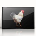 Framed wall art featuring a black acrylic design of stylized chickens, perfect for enhancing home decor. The piece showcases vibrant colors and intricate details, ideal for bird lovers and modern art enthusiasts.