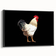 Framed canvas wall art depicting a colorful chicken design in a black frame, showcasing vibrant hues and intricate details, perfect for home decor.
