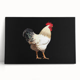 Colorful stretched canvas featuring a whimsical chicken design, ideal for farmhouse decor. The artwork leans against a rustic wooden surface, enhancing its vibrant colors and playful theme. Perfect for adding charm to any kitchen or dining area.