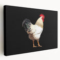 Colorful wall art featuring a vibrant chicken design on stretched canvas, showcasing detailed illustrations and a side view perspective, perfect for home decor.