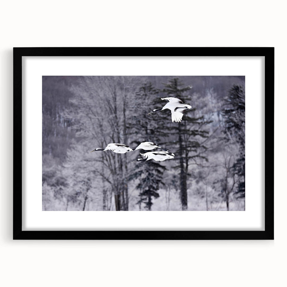 Framed wall art featuring a striking crane design in black and white, with a sleek black frame and mat, ideal for modern decor. Perfect for adding elegance to any space.