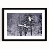 Framed wall art featuring a striking crane design in black and white, with a sleek black frame and mat, ideal for modern decor. Perfect for adding elegance to any space.