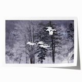 Elegant rolled print of a crane design wall art collection, showcasing intricate details and vibrant colors, perfect for enhancing modern decor in any setting.