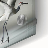 Close-up of a vibrant crane design wall art piece, showcasing intricate details and colors on acrylic glass, perfect for modern home decor. Ideal for nature lovers and art enthusiasts, this artwork adds elegance and style to any room.