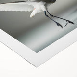 Elegant rolled canvas showcasing a serene crane design in soft pastel colors, ideal for enhancing modern home decor. Perfectly packaged for safe delivery.