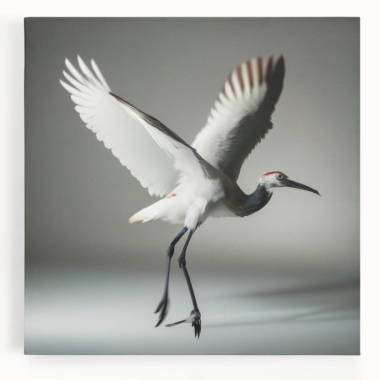 Elegant stretched canvas wall art showcasing a vibrant crane design, featuring intricate details and rich colors, perfect for modern home decor.