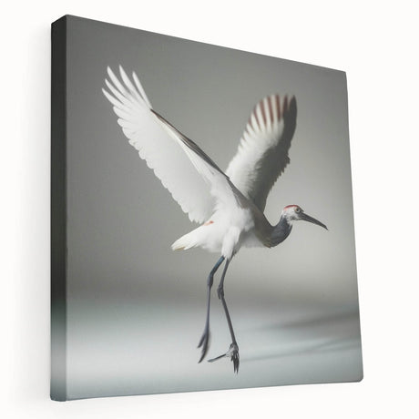 Stretched canvas wall art showcasing a graceful crane design in serene colors, ideal for enhancing modern home décor. Perfect for nature lovers and minimalistic interiors.