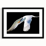 Elegant black-framed wall art featuring a crane design, showcasing intricate details with a mat for added depth. Perfect for modern home decor.