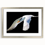 Elegant wall art featuring a crane design in a silver frame with matting, perfect for enhancing home decor aesthetics. Ideal for bird lovers and modern interiors.