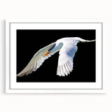Elegant wall art featuring a crane design in a sleek white frame with matting, ideal for modern decor. This piece enhances any room with its serene aesthetic and intricate details, perfect for bird lovers and art enthusiasts.
