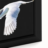 Framed wall art showcasing a close-up of a decorative crane design on canvas, featuring vibrant colors and intricate details, ideal for modern home decor.