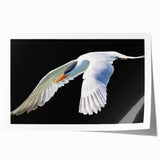 Elegant crane design wall art print showcasing intricate details in soft pastel colors, rolled and ready for display, ideal for enhancing home decor.