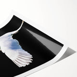 Elegant wall art print featuring a graceful crane design, showcasing intricate details and vibrant colors, rolled and ready for display or framing. Perfect for enhancing home decor with an artistic touch.