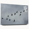Elegant wall art featuring a side view of a crane design on acrylic glass, showcasing intricate details and vibrant colors, mounted with stylish pins for display.