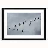 Framed wall art featuring an elegant black crane design, showcasing intricate details and a modern aesthetic, perfect for enhancing contemporary home decor.