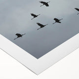 Elegant rolled canvas showcasing a vibrant crane design in a serene blue and gold color palette, perfect for enhancing modern home decor. The artwork evokes tranquility and sophistication, making it an ideal addition to living spaces or galleries.