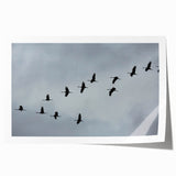 Elegant rolled print of a crane design, showcasing vibrant colors and intricate details, perfect for home decor. Ideal for nature-themed interior spaces.