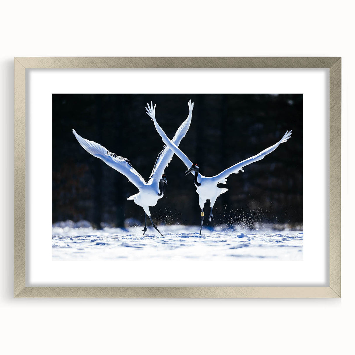 Framed wall art featuring a delicate crane design in a silver frame, complemented by a white mat, perfect for modern home decor and artistic displays. Ideal for nature lovers and interior design enthusiasts looking to enhance their living space.