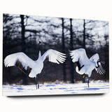 Elegant wall art featuring a crane design, crafted from durable acrylic glass. The artwork showcases intricate details and vibrant colors, perfect for modern decor. Ideal for enhancing living spaces with a touch of nature-inspired elegance.